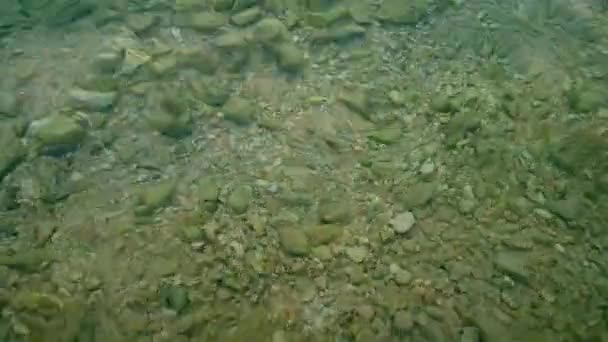 Unberührtes Meerwasser Mit Felsigem Meeresboden Aus Nächster Nähe Maritimes Thema — Stockvideo