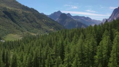 Kuzey İtalya Alp Bölgesi 'nde Alp Ormanı ve Dağ Manzarası. Val Gelincik Vadisi.