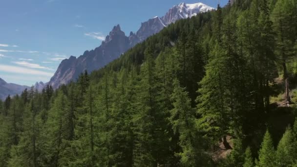 Snowy Mont Blanc Maciço Verão Silvicultura Paisagem Aérea — Vídeo de Stock