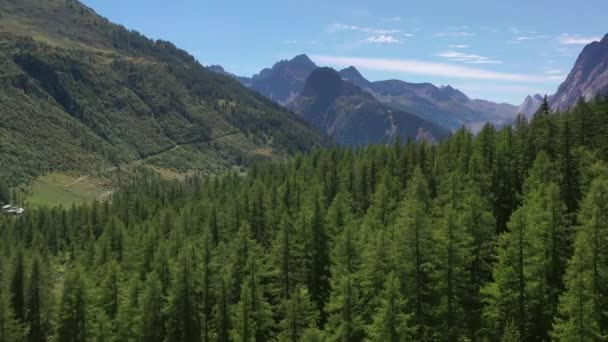 Альпійський Лісовий Гірський Ландшафт Півночі Італії Долина Вал Феррет — стокове відео