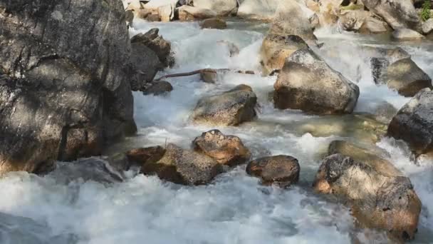 Correndo Rio Alpino Durante Verão Tempo Dia Ensolarado — Vídeo de Stock