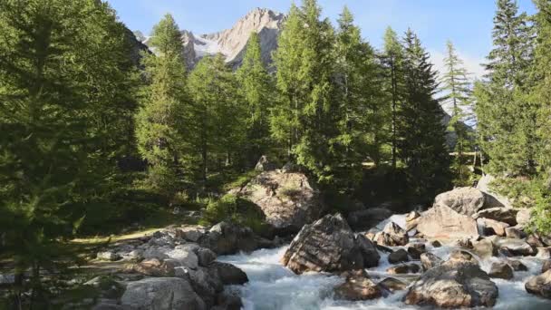 Γραφικό Vel Ferret Valley Alpine River Και Woodland Στα Ιταλικά — Αρχείο Βίντεο