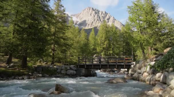 August 2020 Entrves Italy Tourist Wooden Bridge Vel Ferret Valley — Stock Video