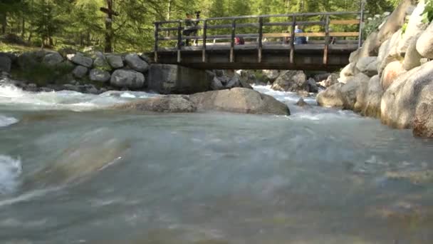 Agosto 2020 Entradas Italia Turista Puente Madera Valle Vel Ferret — Vídeo de stock