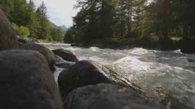 Val Ferret İtalya Yaz Zamanı Buzul Dağı Nehrinin Manzarasını Altına Aldı