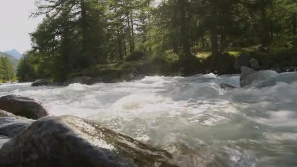 Verano Tiempo Montaña Alpino Río Bosque Alpes Italianos — Vídeo de stock