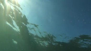 40 'lı yaşlarındaki Kafkas Adamlar Yüzey Yüzüşünün yanında Kıyı Denizi' nde Şnorkelle yüzüyor