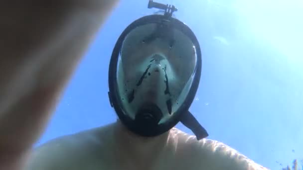 Hombres Haciendo Snorkel Océano Nadar Mar Sal Cerca Superficie — Vídeo de stock