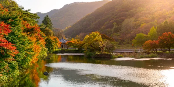 Mooie herfst bladeren kleur veranderen en hun reflectie in de vijver landschap in Baekyangsa Temple, Zuid-Korea. — Stockfoto