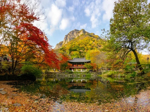 Prachtige Schilderachtige Herfst Bladeren Kleur Veranderende Koreaanse Stijl Paviljoen Met Stockfoto