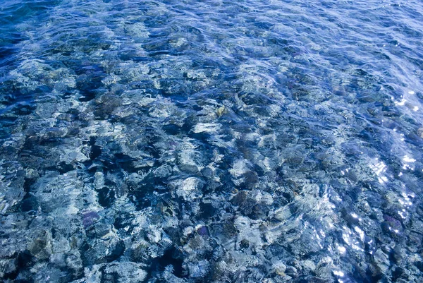 Estantería Marina Través Del Agua Lente Agua Fondo Marino Fondo — Foto de Stock