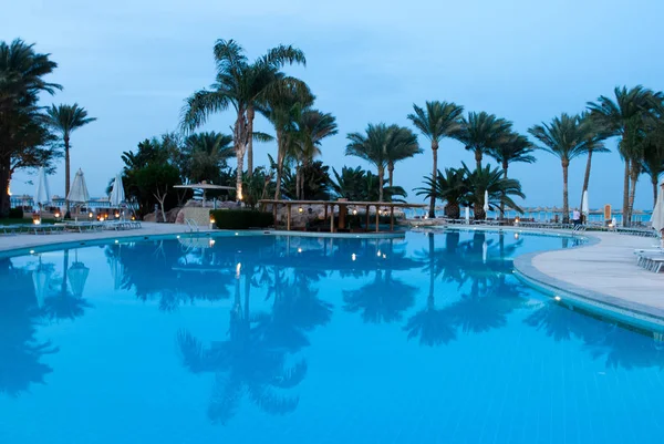 Palms Reflect Calm Pool Water Water Mirror Reflect Swimming Pool — Stock Photo, Image