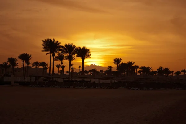 Golden sunset evening in mountain and sea beach. Yellow sunset on mountain pick and palms on seashore with umbrellas. Hot egyptian evening and sunset.