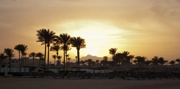 夏日日落 金色日落之夜 在山海海滩上用棕榈伞 橙色日落在山采摘和棕榈在海滨用雨伞 炎热的埃及之夜和日落 空的海滩 — 图库照片