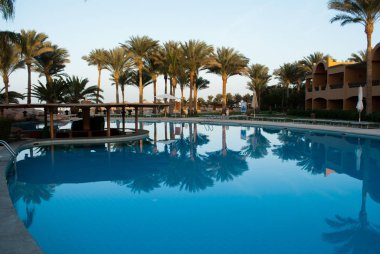 Yaz sabahı renkli görüntü büyük avuç içi ve ön planda geniş mavi havuzu ile modern otel