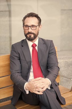 Orta yaşlı işadamı bankta rahatlatıcı bir mola. Bankta oturan bir işadamı portresi