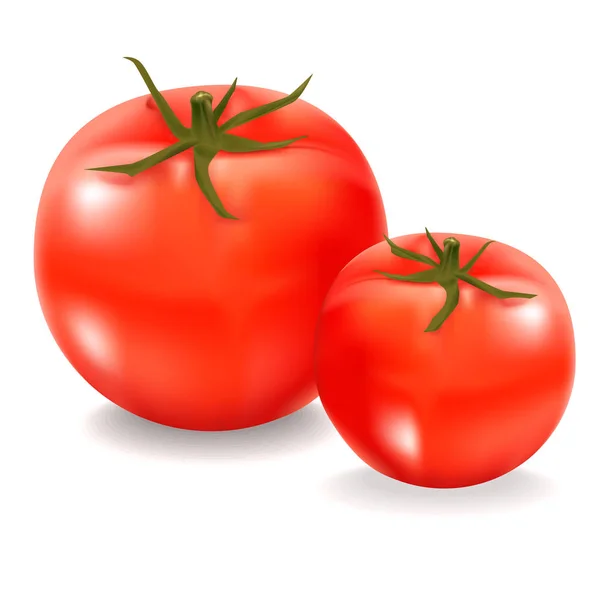 Tomate Isoliert Einzelne Einfache Zeichentrickillustration — Stockvektor
