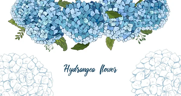 Sommaren botaniska vektor design banner. hand ritning. Ljus blå Hortensia. Naturliga kort eller ram. Blommig gränser. Alla delar är isolerade och redigerbara. mall för banner — Stock vektor