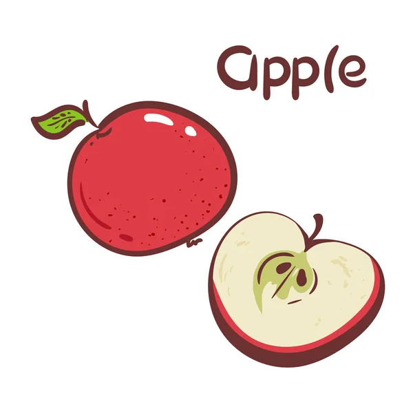 Ręcznie Rysowane Etykiety Apple Wektor Ilustracja Białym Tle Apple Ikonę — Wektor stockowy