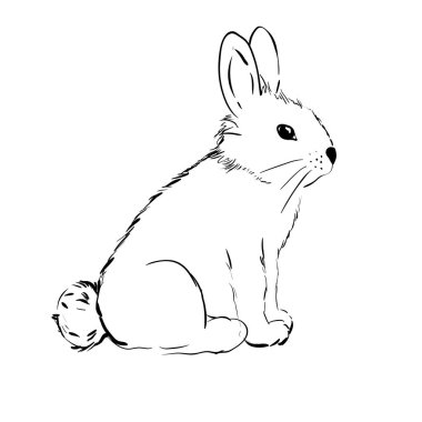Tavşan sevimli el çekilmiş lineart kroki, siyah beyaz doodle. vektör.