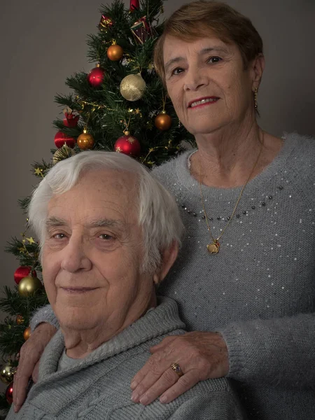 Egy Idős Házaspár Mellett Egy Karácsonyfa Vízszintes Portréja — Stock Fotó