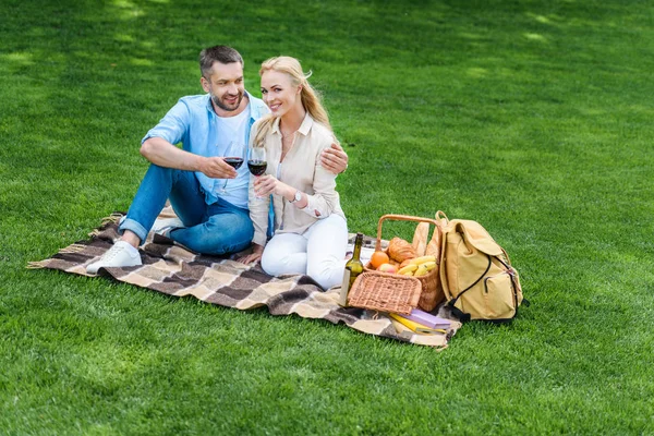 幸せな若いカップルの格子縞の上に座って ピクニックにワインのグラスを持って  — 無料ストックフォト
