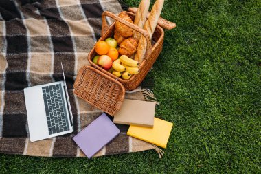 ekose Park üzerinde laptop, kitaplar ve piknik sepetinin yüksek açılı görünüş 