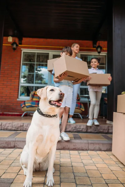 selective focus of labrador dog and family with cardboard boxes on porch of new house, moving home concept