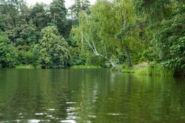 scenic view of calm lake with green trees on bank clipart