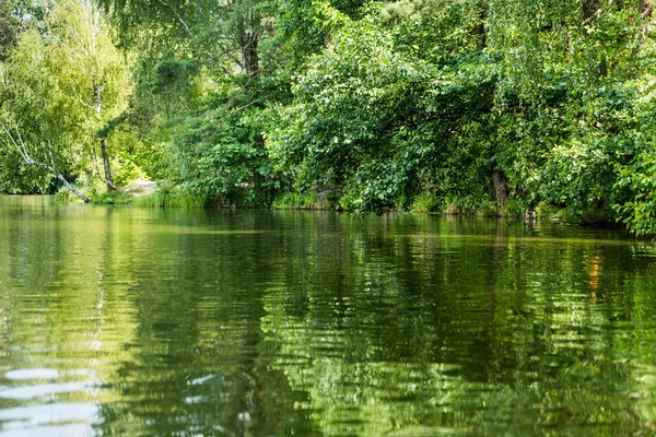 Schilderachtig Uitzicht Mooie Rustige Lake Met Groene Bomen Bank — Stockfoto