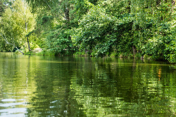 живописный вид на красивое спокойное озеро с зелеными деревьями на берегу
