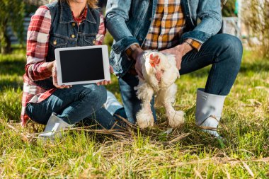 cropped image of woman showing digital tablet with blank screen while her boyfriend holding chicken at farm clipart