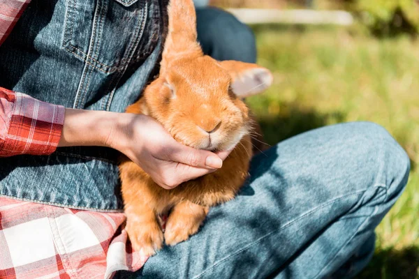Vista Parcial Mujer Sosteniendo Adorable Conejo Marrón Aire Libre — Foto de Stock