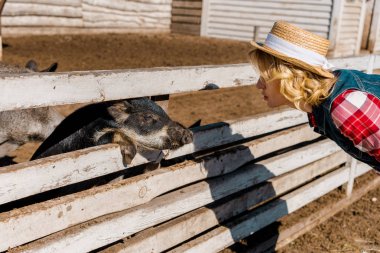 side view of woman in straw hat looking at black piglet standing near wooden fence at farm clipart