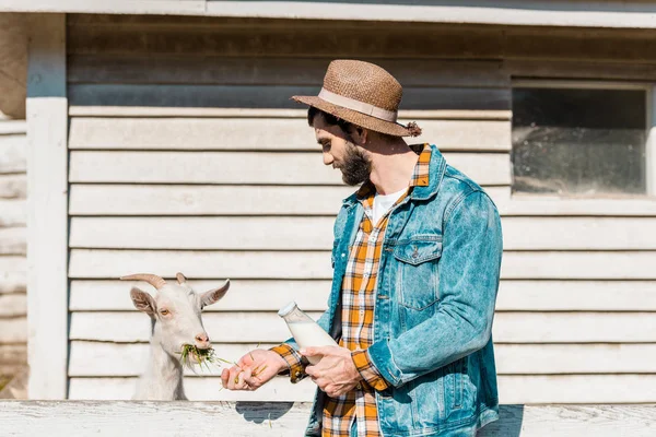 Side View Male Farmer Bottle Milk Feeding Goat Grass Wooden — Free Stock Photo