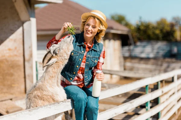 Селективное Внимание Женщины Фермера Бутылкой Молока Сидящей Деревянном Заборе Кормящей — стоковое фото
