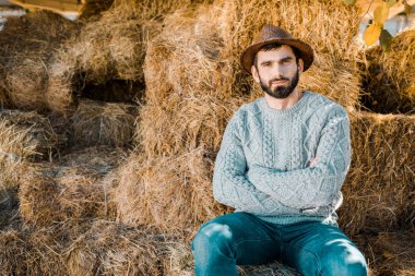 confident male farmer in sweater and straw hat sitting with crossed arms on hay stacks at ranch clipart