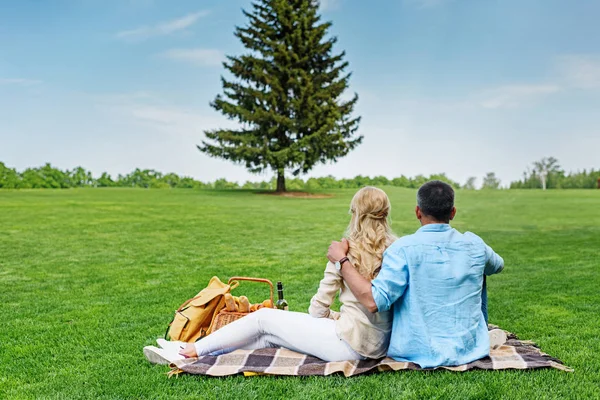 Vista trasera de la pareja sentados juntos en cuadros en el picnic - foto de stock