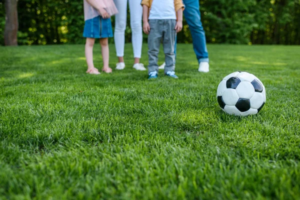 Schnappschuss von zusammenstehender Familie und Fußball auf Rasen im Park — Stockfoto