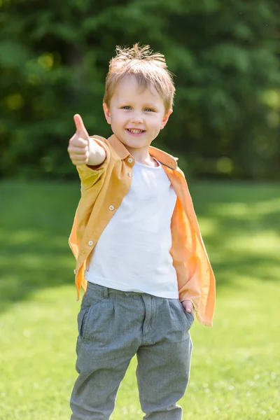 Lindo niño feliz mostrando el pulgar hacia arriba y sonriendo a la cámara en el parque - foto de stock