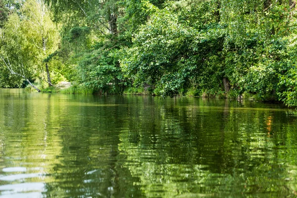 Vista panorámica del hermoso lago tranquilo con árboles verdes en la orilla - foto de stock