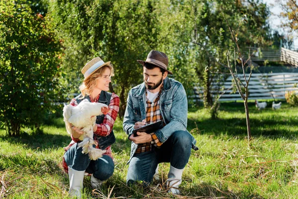Привлекательная женщина держит курицу, в то время как ее парень делает заметки в бумагах на ферме — стоковое фото