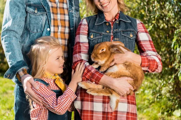 Vista parcial de la familia campesina con hija pequeña y conejo marrón al aire libre - foto de stock