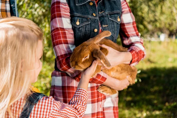 Image recadrée de petit enfant touchant lapin brun dans les mains de sa mère à l'extérieur — Photo de stock