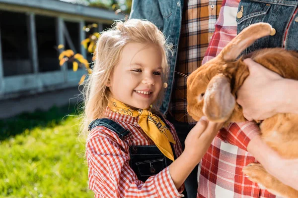 Vista parcial de niña tocando conejito marrón en manos de su madre al aire libre - foto de stock