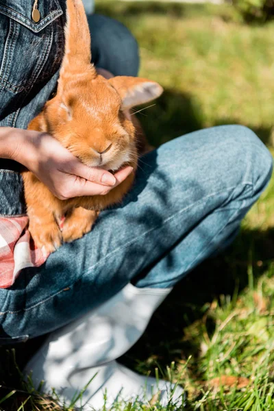 Imagen recortada de mujer sosteniendo adorable conejo marrón al aire libre - foto de stock