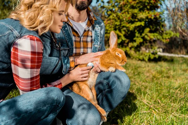 Vista parcial del granjero macho sosteniendo conejo mientras su novia escuchando conejo por estetoscopio al aire libre - foto de stock
