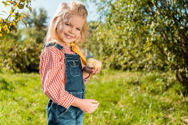 Little kid holding adorable yellow baby chick and looking at camera outdoors — Stock Photo