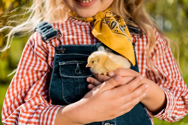 Partial view of little child holding adorable yellow baby chick outdoors — Stock Photo