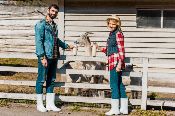 Erwachsenes Bauernpaar zeigt Milchflaschen, während Ziegen in der Nähe eines Holzzaunes auf der Ranch grasen — Stockfoto